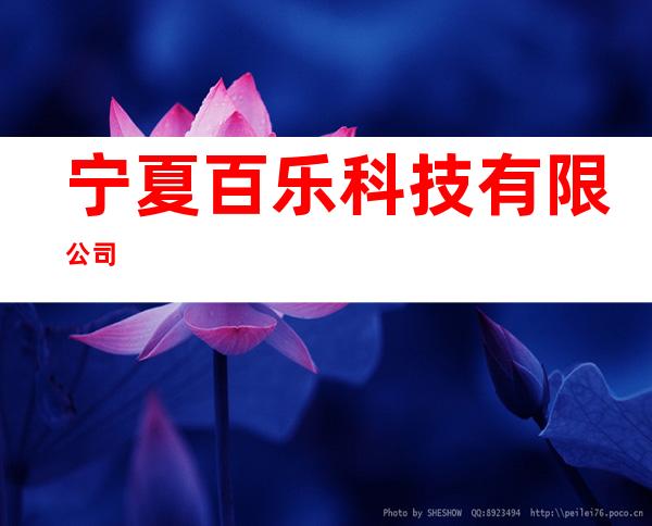 宁夏百乐科技有限公司